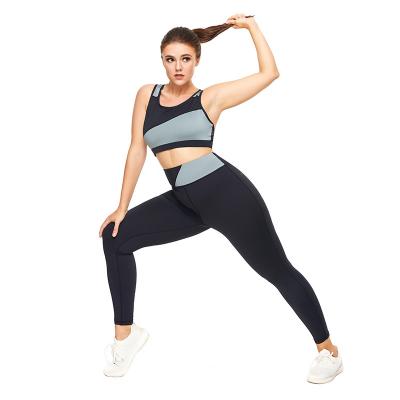 China New style seamless toe wholesale breathable lift crack! crack! Women's Gym Sportswear Sports Gaiters and Sports Bra Set for sale