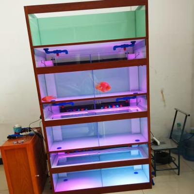 China Viable newcomer wholesale display aquarium fish tanks fish shop use aquarium retail aquarium tank for sale