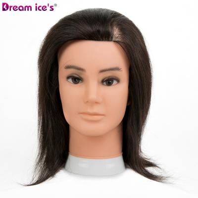 China Cheap Styrofoam Mannequin Head Xuchang Factory Price Cosmetology Training Head, Male Mannequin Head for sale