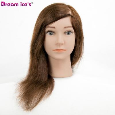 China Styrofoam Mannequin Head 8-24inch 100Human Hair Manikin Training Head Head For School for sale