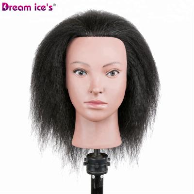 China Factory Price Styrofoam Manikin Head Dream.Ice 8~24 Inch Raw Russia Hair Manikin Training Head For Black Women for sale