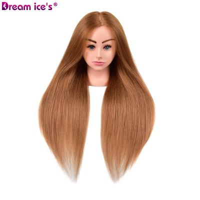 China Mixed Styrofoam Mannequin Head Dream.Ice Hair Hair Doll Head For Training for sale