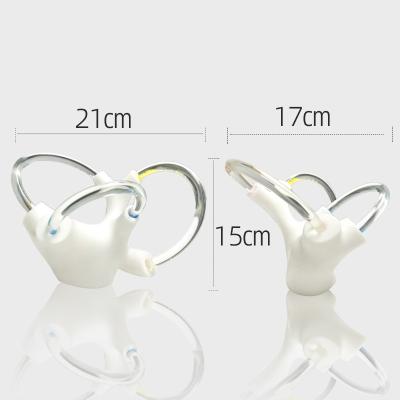 China Rehabilitation Main Anatomical Function Cranial Nerve Inner Ear Cochlea Balance Demonstration Didactic Semicircular Canal for sale