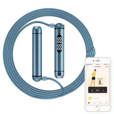 China Fitness Exercise High Quality Adjustable Speed ​​Weighted Jump Rope With Aluminum Handle for sale