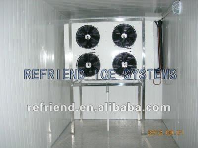 China 40ft container walk in fridge for frozen fish and meat 40ft for sale