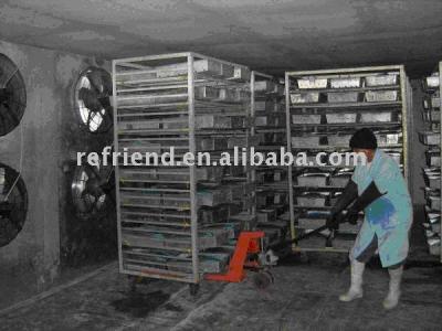 China blast freezer (shock freezer, freezer, deep freezer) BP for sale