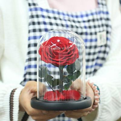 China Christmas Gift Idea Size XS Christmas Gift Ideas Business Return Gift Preserved Infinity Stabilized Rose for sale