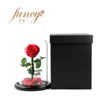 China Natural Plant Kunming Plant Floral Supply Lasting Forever Rose With 50 Colors for sale