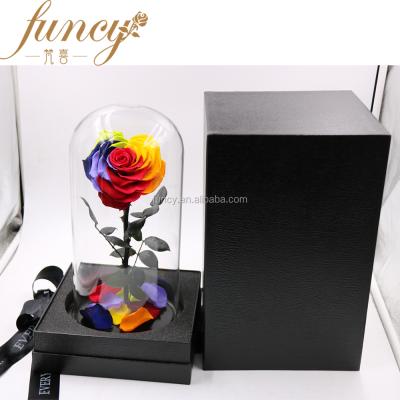 China Gift Preserved 10cm Real Heart Shape Rainbow Color Roses Than Last 3-5 Years for sale