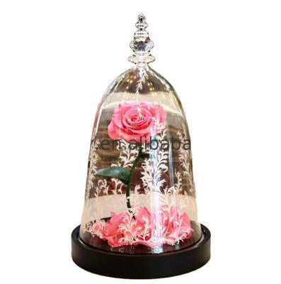 China Best Valentines Day Gift Preserved Beauty And Beast Enchanted Rose Height 28cm* Flower Width 16cm for sale