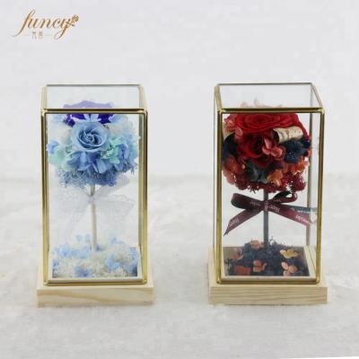 China 2018 Long Lasting Wedding Favors Fashion Home Decor Wedding Gift Natural Preserved Flowers In Glass House for sale