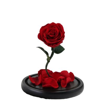 China Art Decor Forever Beauty Beast enchanted real pieces of Rose Modern Luxury Home Decoration for sale