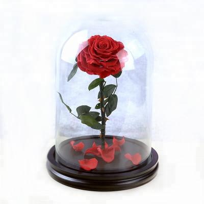 China Preserved Beautiful Rose Flowers Eternal Rose Preserved Rose Flower In Glass Dome Gift Christmas Day Flower Gifts Best for sale