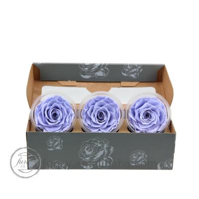 China 7-8cm Lavender Color Preserved Eternity Rose UK 7-8 cm Rose Bud for sale