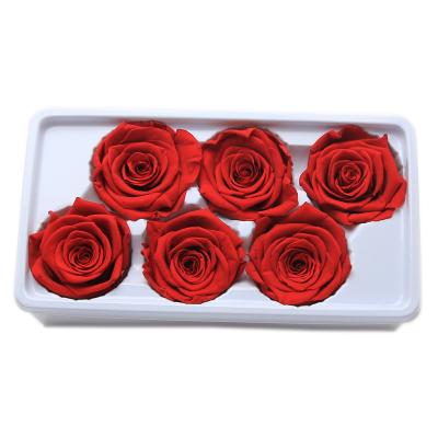 China Preserved Rose Wholesale A Grade 6 Cm Rose Color Preserved Yunnan FuncyFlora Infinity Roses Flower Head for sale