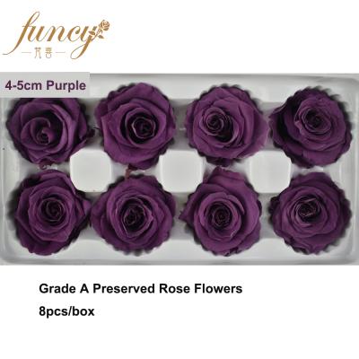 China Roses 4-5 Cm Fresh Purple Color Forever Preserved Real Rose Bud For Enchanted Flower Box for sale