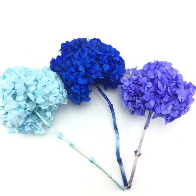 China Decoration Flower Wholesale 30 Colors Flores Preserved Hydrangea Flowers For Wedding Wall Decoration for sale