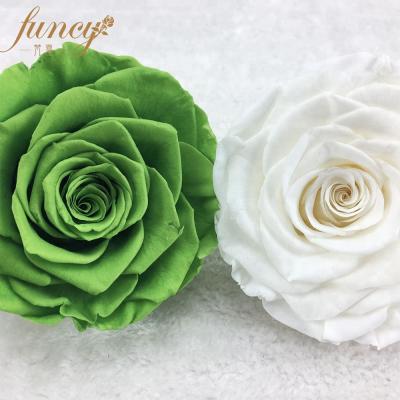 China Festival Rose Preserved Flower Eternal Preserved Roses for Preserved Rose in Glass for sale