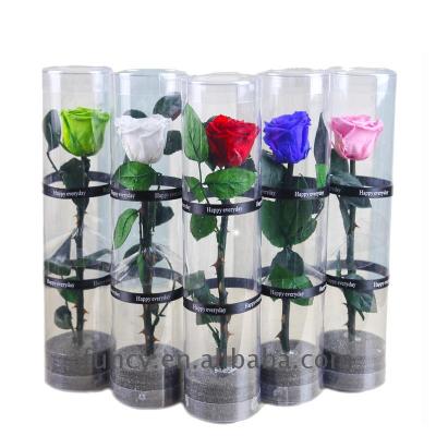 China Real Natural Rose FuncyFlora Factory Customized 50 Colors PVC Box Preserved Stem Roses for sale