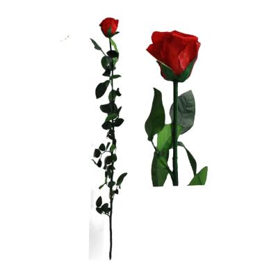 China Europe Wholesale Flower Hot Selling Stem Real Long Preserved Roses For Wedding Home Decor 23*14*9cm for sale