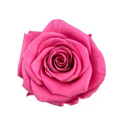 China Best Durable DIY Gift Box Christmas Decor Wedding Forever Rose Preserved Roses in Gift Box for sale