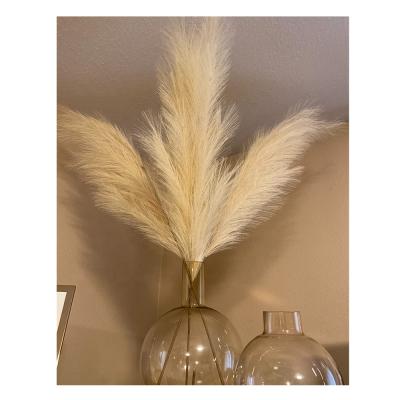 China Flower arrangement decoration. Wholesale Plant Faux Large Artificial Pampas Grass for sale