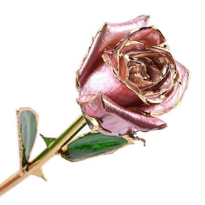 China Hot Selling Amazon Gifts Handmade Gold Dipped Roses Fresh Roses For Wedding Decoration for sale