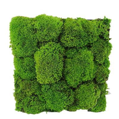 China Wall Decoration or Art Design Environmental Pole Moss Preserved Moss Wall Home Decoration for sale