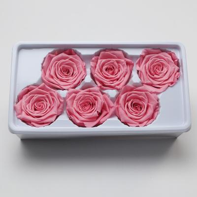 China Real Natural Preserved Rose Good Quality Preserved Natural Real Flowers Home Decor Vase Glass With Best for sale