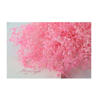 China 2019 Fresh Baby's Breath Baby's Breath Gypsophila Preserved Roses For Flower Arrangements Wedding Home Decoration for sale