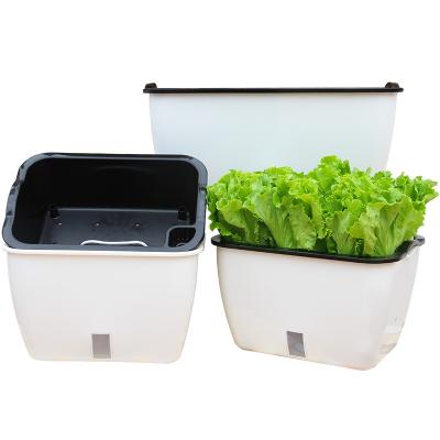 China Modern Plastic Strawberry Lazy Vegetable Lettuce Double Pot Double Pot Water Level Green Visible Pineapple Does Not Occupy The Land for sale