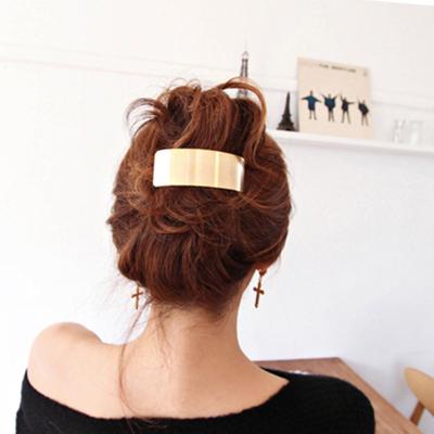 China Titanium Hair Clips Stainless Steel Light Weight Single Curved Steel Hair Clips for sale