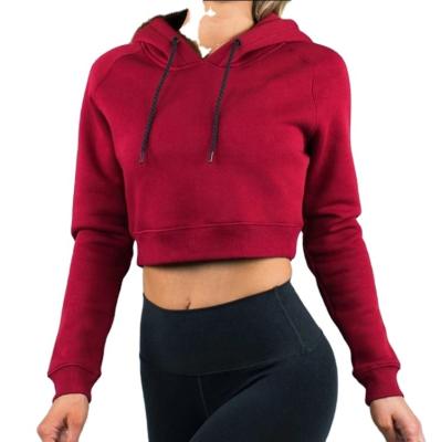 China Anti-Wrinkle Women Clothes 100% French Terry Crop Top Sleeve Women Pullover Hoodie Cotton Long Sweatshirt for sale