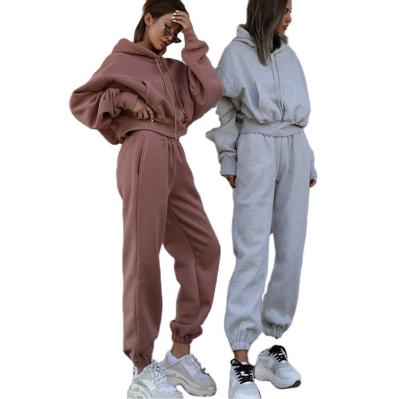 China Custom Made High Quality Anti-wrinkle 2 Pieces Tracksuit Women Sets Top Crop Pullover Hoodie Women Oversized Sweatshirt for sale