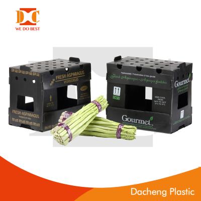 China Recycled Plastic Corrugated Materials PP Asparagus Boxes for sale