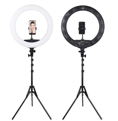 China Large Selfie Ring Light Adjustable Mobile Phone Ring Light 18Inch Flash AC Adapter Kit for Youtube for sale