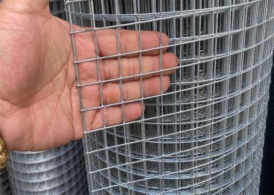 China Hot Dipped  1/2 Inch Welded Wire Mesh Roll Smooth Surface for sale