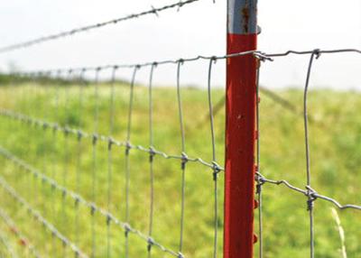 Chine Fermeture à chaud galvanisée soudée à fil de cerf hauteur 3ft-8ft avec résistance à la corrosion à vendre