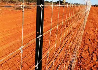 China Galvanized Grassland Wire Fence Cattle / Sheep / Field / Deer Farm Fence for sale