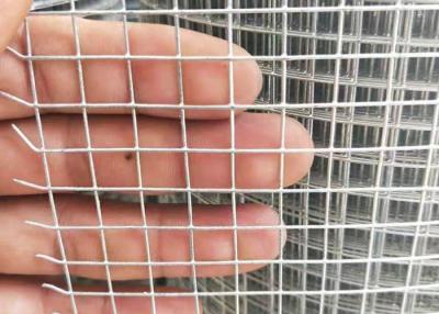 China Hot Dipped Galvanized Iron Wire Mesh 1/2 Inch Welded Wire Mesh Fence Roll for sale