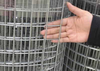 China Galvanized Welded Wire Mesh For Garden Fence Rust Resistant Fencing with Zinc Coating for sale