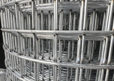 China Galvanized Iron Welded Wire Mesh 40g/m2 Strong Corrosion Resistant Protection Partition for sale