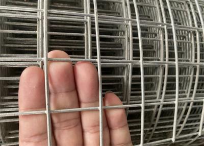 China Hot Dip Galvanized Welded Wire Mesh 14 16 Gauge kostenlose Probe angeboten zu verkaufen