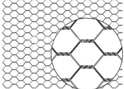 Chine Maillage de fil de poulet revêtu de PVC galvanisé 20 g/m2-60 g/m2 revêtu de zinc résistant à la rouille à vendre