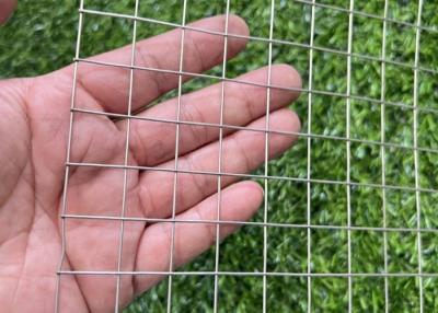 Cina Resistenza alla corrosione SS Saldato Wire Mesh 1/2 1/4 Inch 1 Inch Bird Cage Wire Mesh in vendita