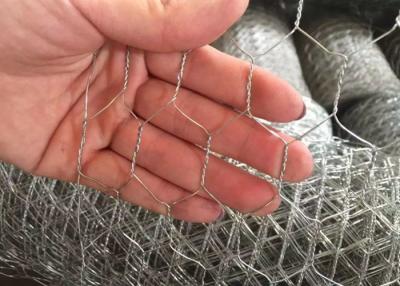 China Reja de alambre hexagonal galvanizado doblemente retorcido para granjas avícolas en venta