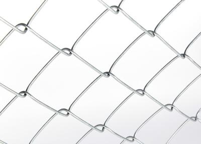 Cina 1.2mm Chicken Wire Mesh Fence Industrial Commercial Residential General Purpose All Scene Applicabile in vendita