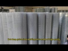 Galvanised Welded Wire Mesh Roll Chicken Pens Electro Galvanized BWG14 - BWG25 1/2“ 5/8“