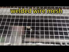 Customizable Galvanized Wire Mesh Rolls Hardware Cloth for Various Heights