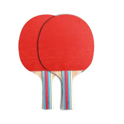 China Indoor Paddle Professional Adult Kids Poplar Table Tennis Fitness Group Activities Shakehand Grip Table Tennis Rackets Long for sale